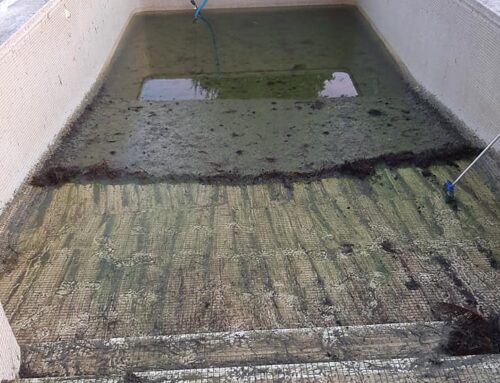 Mantenimiento de piscinas en Xàtiva
